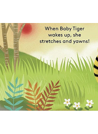 Baby Tiger: Finger Puppet Book