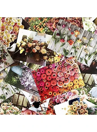 Floret Farm's Cut Flower Garden 100 Postcards