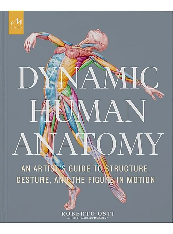 Dynamic Human Anatomy. Roberto Osti
