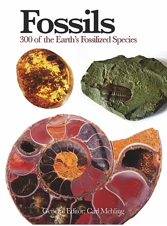 Fossils