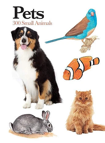 Pets. 300 Small Animals