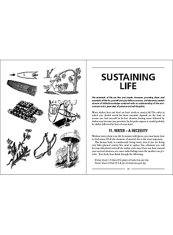 Survival Tips