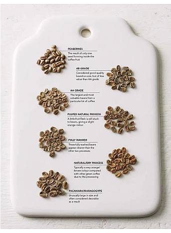 The World Atlas of Coffee : From beans to brewing - coffees explored, explained and enjoyed