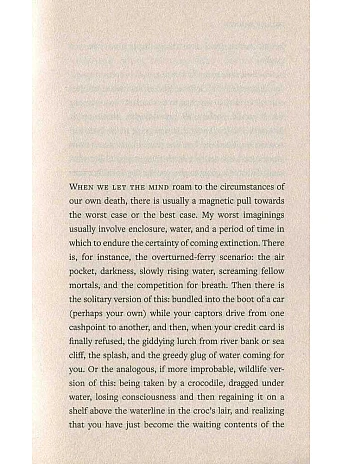 Death. Julian Barnes