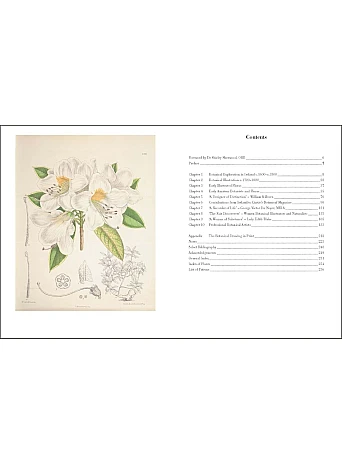 Drawn From Nature: The Flowering of Irish Botanical Art