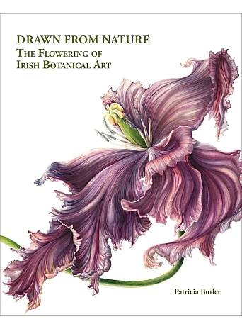 Drawn From Nature: The Flowering of Irish Botanical Art