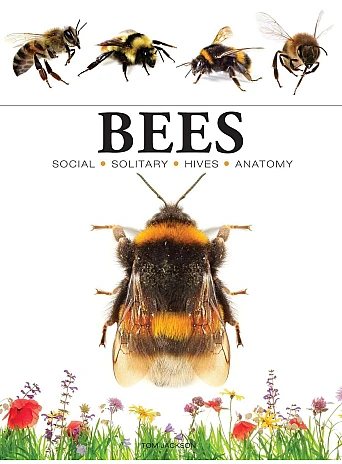 Bees