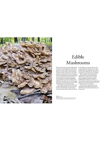 Mushrooms