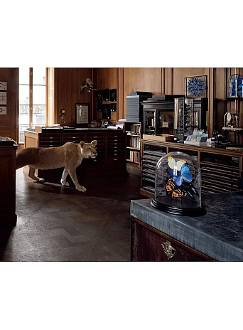A Parisian Cabinet of Curiosities: Deyrolle