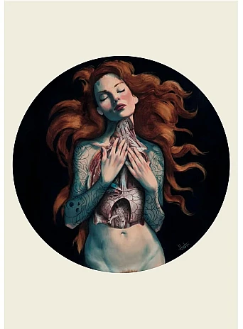 Anatomy Rocks. 30 Deluxe Postcards