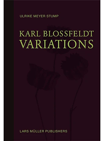 Karl Blossfeldt: Variations