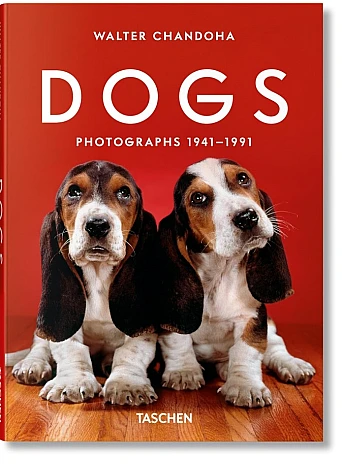 Walter Chandoha. Dogs. Photographs 1941–1991