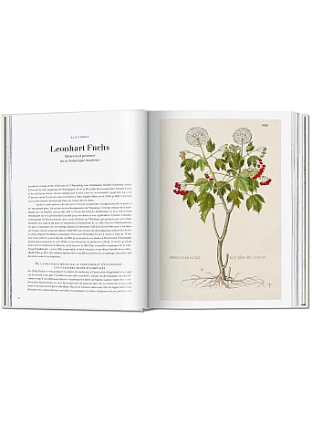 Leonhart Fuchs. The New Herbal (Sourcebook)