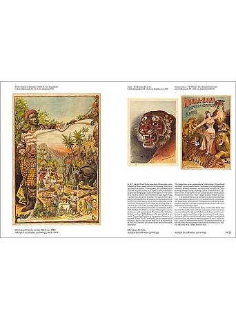 The Poster . 200 Years of Art and History