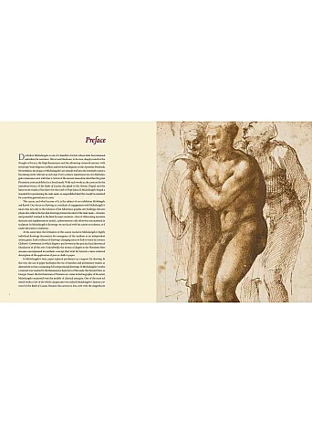 Michelangelo and Beyond