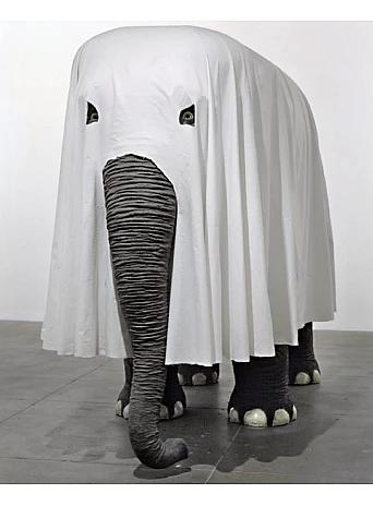 50 Contemporary Artists You Should Know