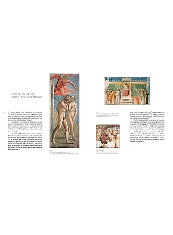 Leonardo da Vinci: The Complete Paintings in Detail