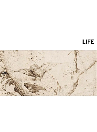 Bosch. Masters of Art