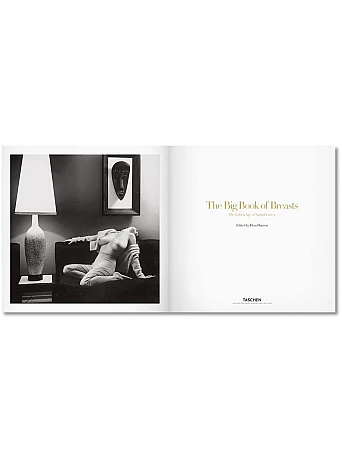 The Big Book of Breasts