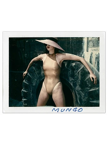 Helmut Newton. Polaroids