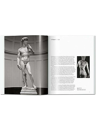 Michelangelo. Basic Art Series