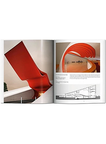 Niemeyer. Basic Art Series