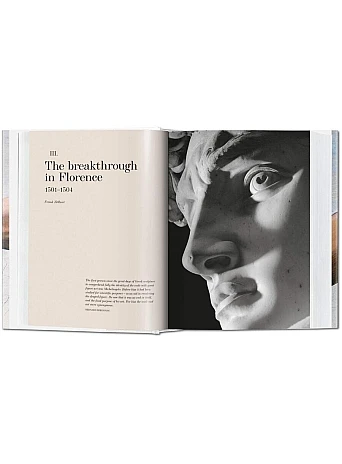 Michelangelo. The Complete Paintings BU