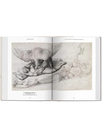 Michelangelo. The Graphic Work