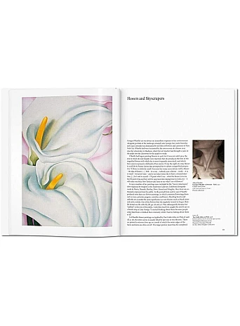 O'Keeffe. Basic Art Series