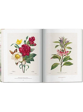 Redoute. The Book of Flowers