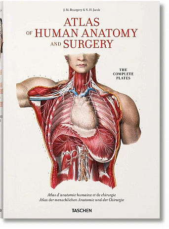 Bourgery. Atlas of Human Anatomy and Surgery 