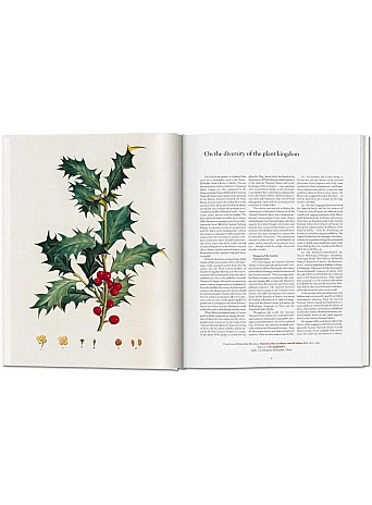 A Garden Eden. Masterpieces of Botanical Illustration