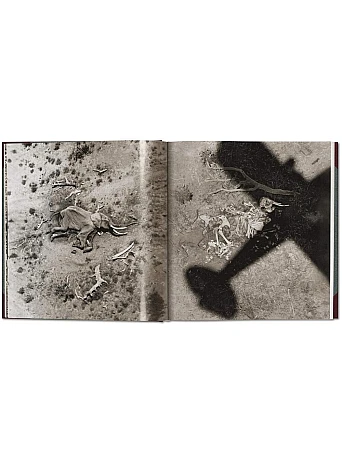 Peter Beard. The End of the Game 
