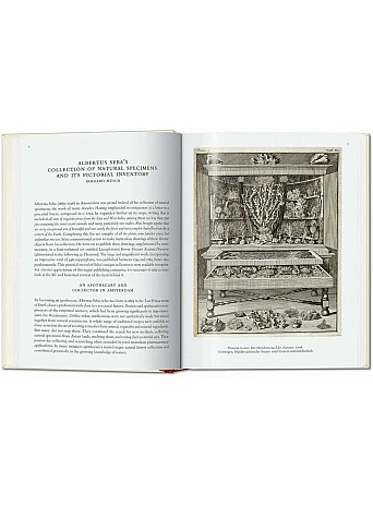Seba. Cabinet of Natural Curiosities 45th Ed.