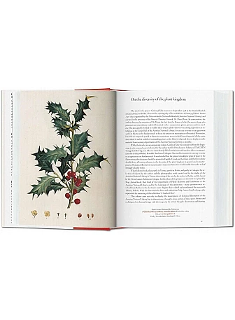 A Garden Eden. Masterpieces of Botanical Illustration