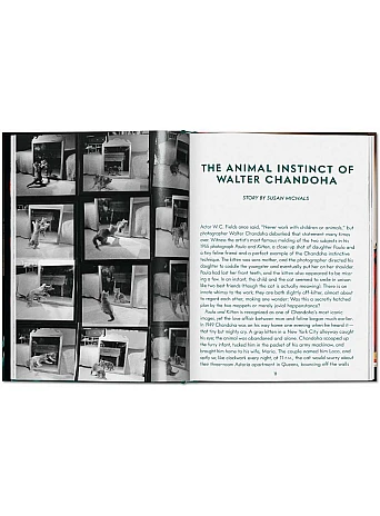 Cats. Photographs 1942-2018