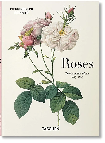 Redouté: Roses