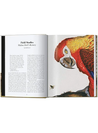 Walton Ford 40th Ed.