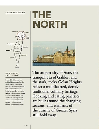 Divine Food : Food Culture and Recipes from Israel and Palestine