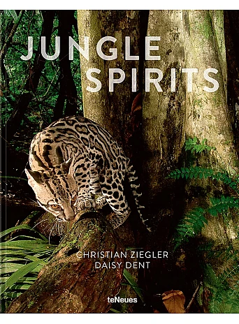 Jungle Spirits