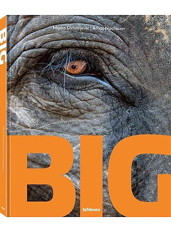 Big : A Photographic Album of the World's Largest Animals