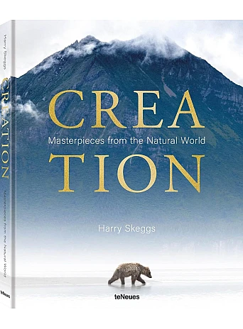 Creation