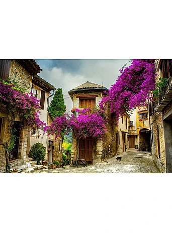 Charming France