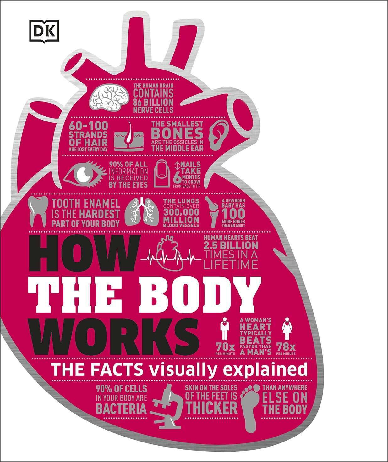 How The Body Works How The Body Works
