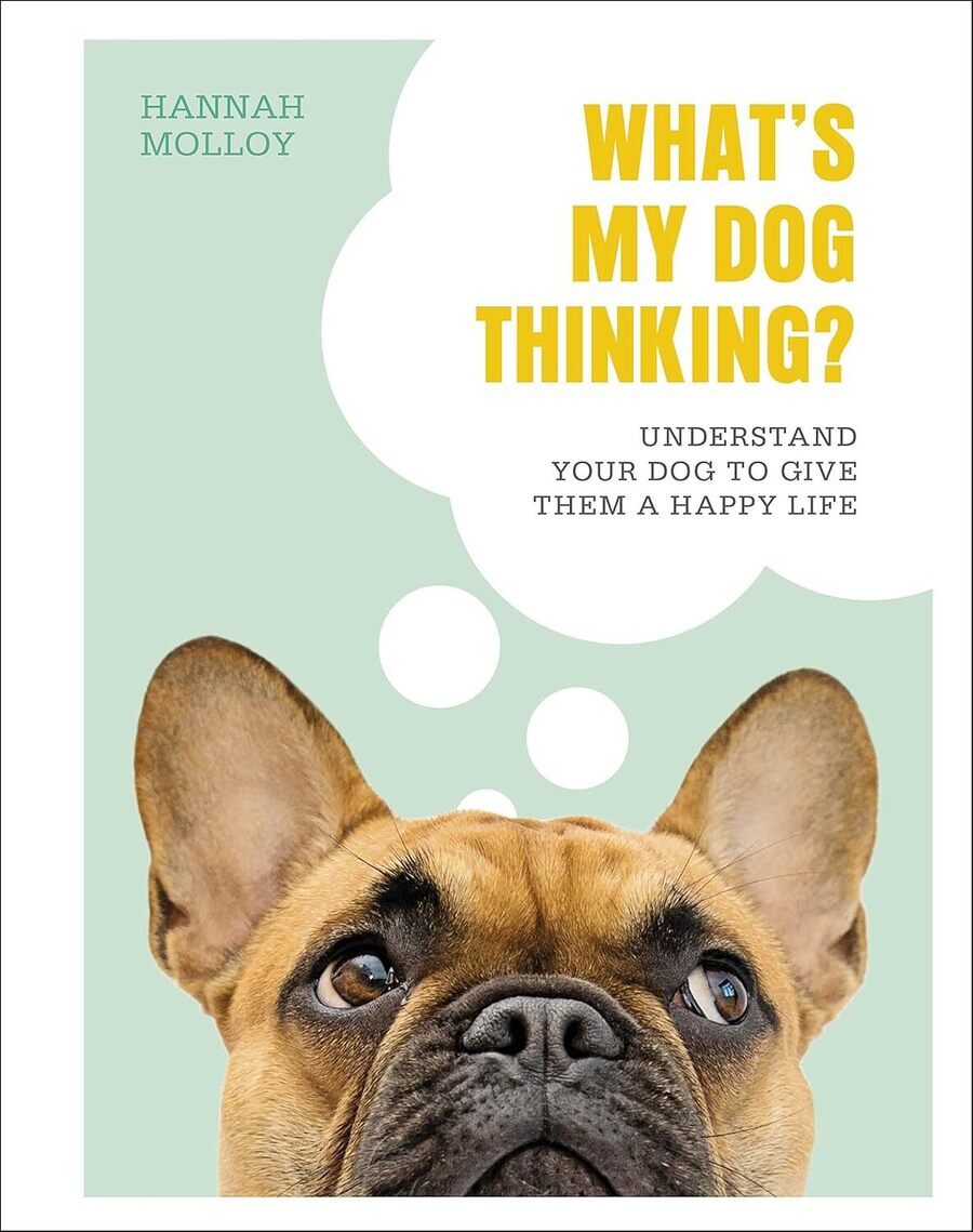 What's My Dog Thinking? What's My Dog Thinking?