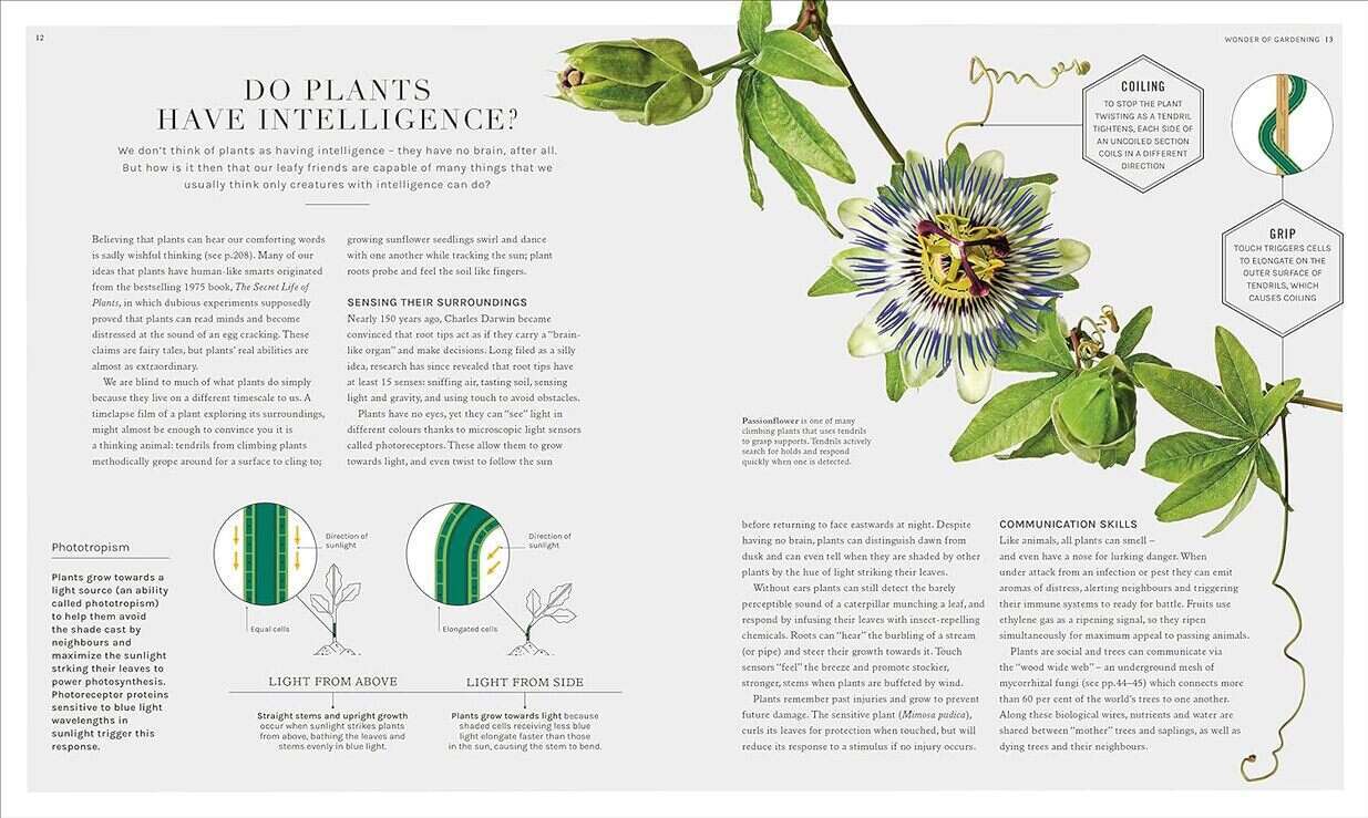 The Science of Gardening The Science of Gardening