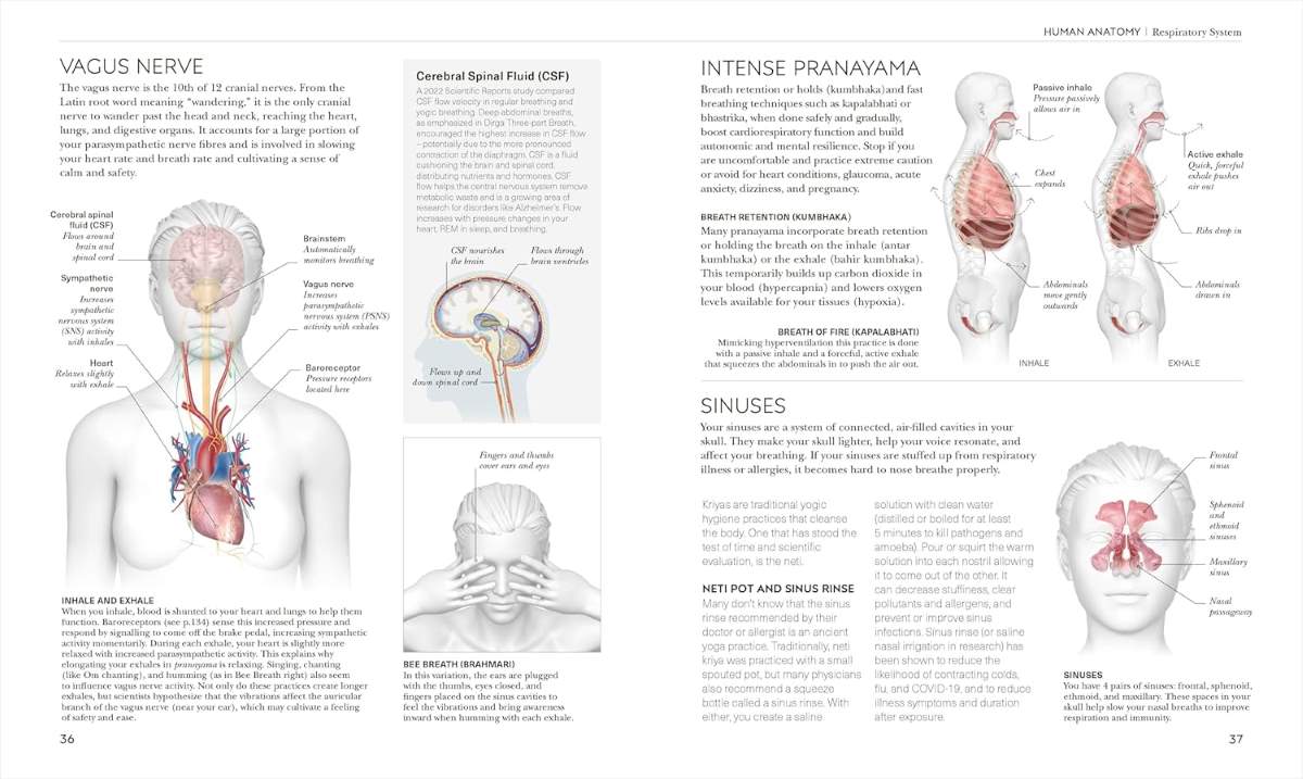 Science of Yoga Science of Yoga
