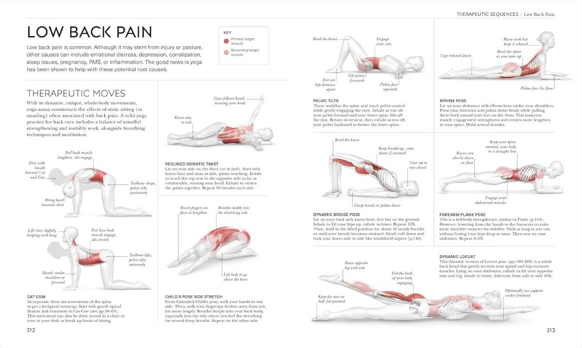 Science of Yoga Science of Yoga