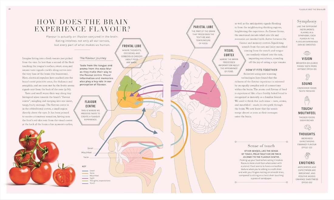 The Science of Flavour The Science of Flavour