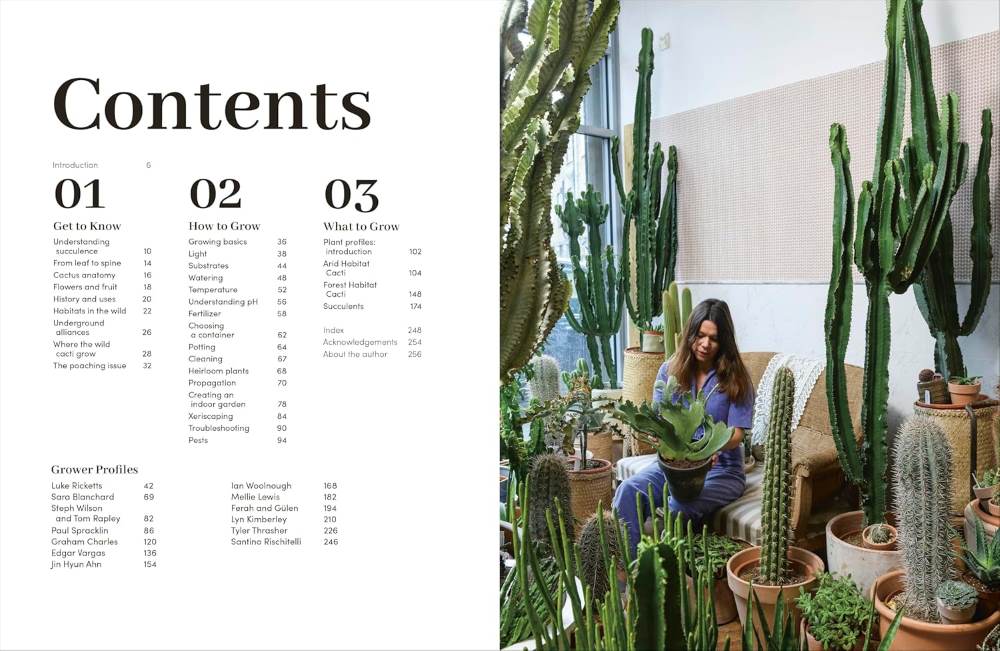 Cacti and Succulents Cacti and Succulents